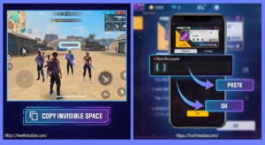 Coyp invisible space