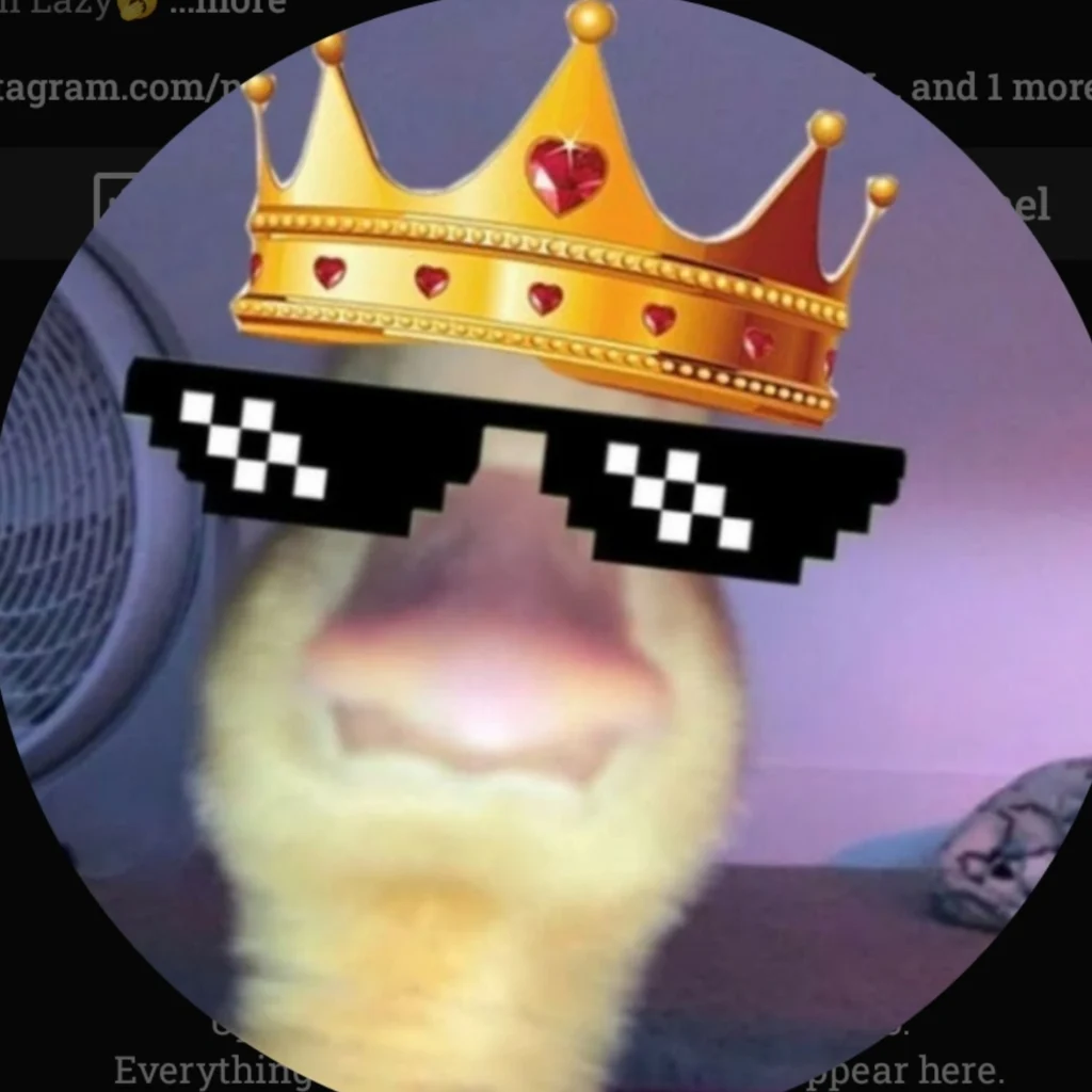 1000009597